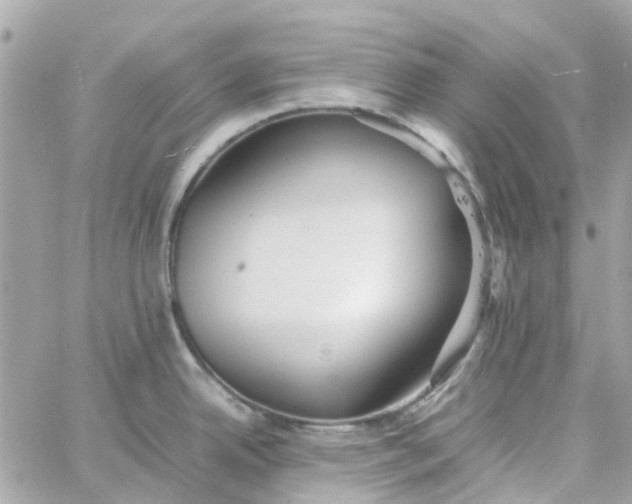 X0000059251342200510281946