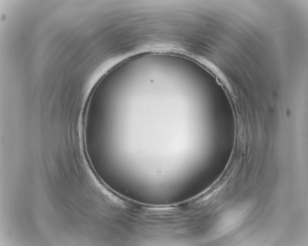 X0000059251343200510281946