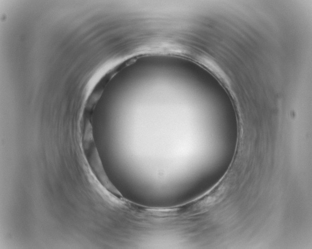 X0000059251344200510281946