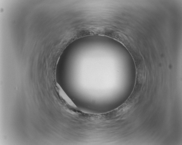 X0000059251345200510281946