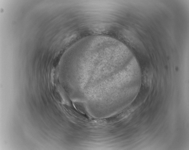 X0000059251346200510281946