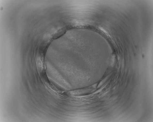 X0000059251348200510281945