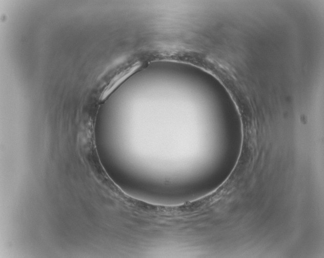 X0000059251349200510281945