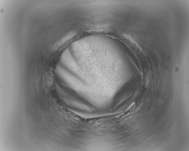 X0000059251350200510281945