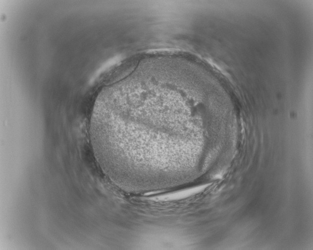 X0000059251351200510281945