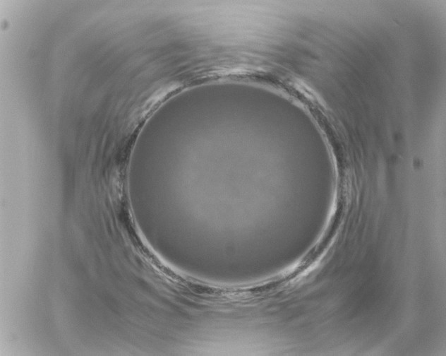 X0000059251353200510281945