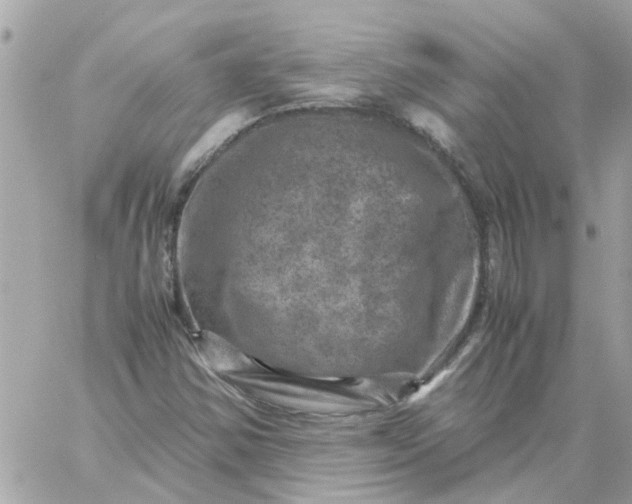 X0000059251354200510281945