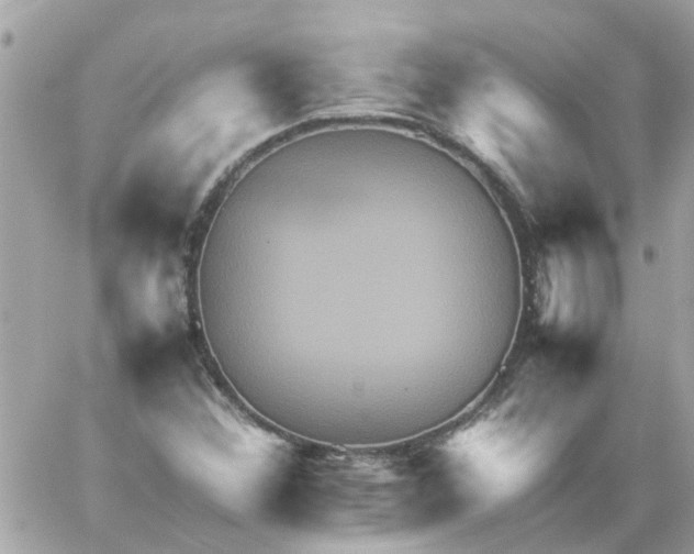 X0000059251356200510281945