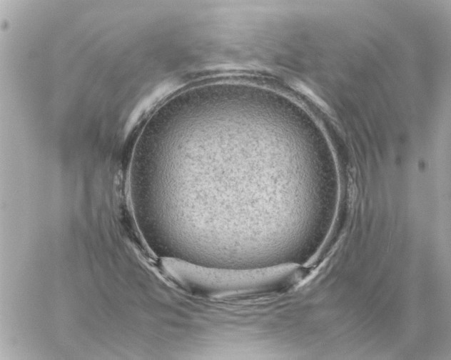 X0000059251357200510281945