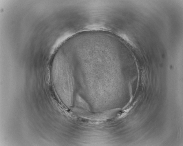 X0000059251358200510281945