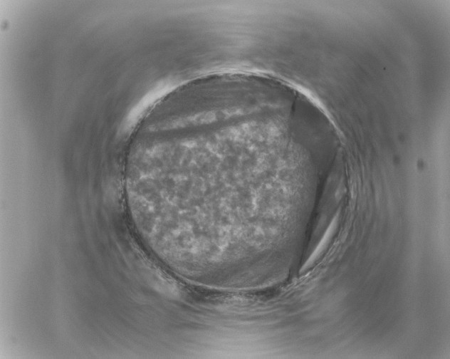 X0000059251359200510281945