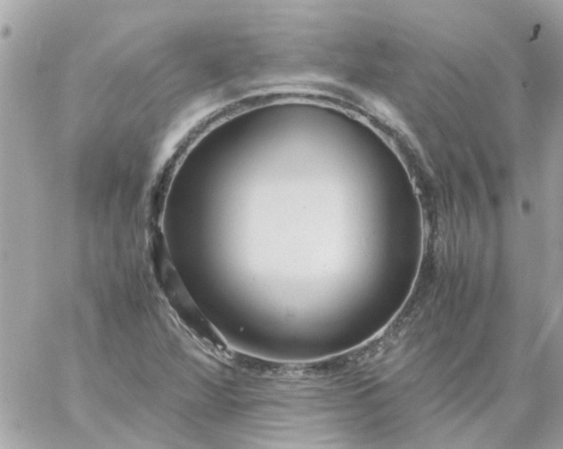 X0000059251360200510281945