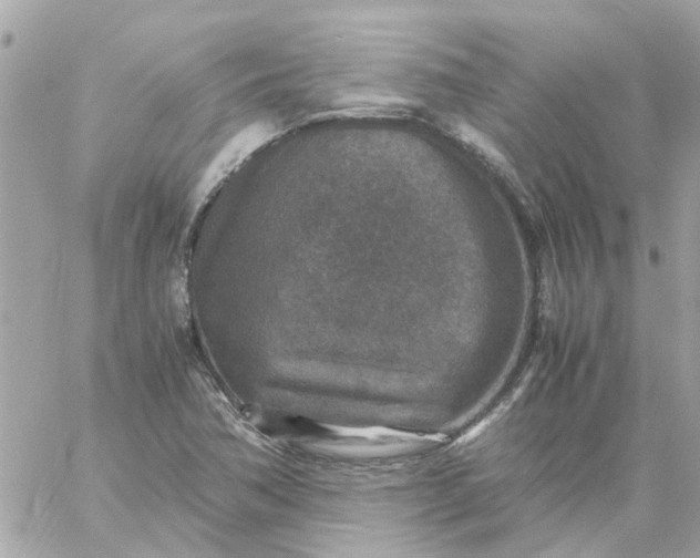 X0000059251362200510281945