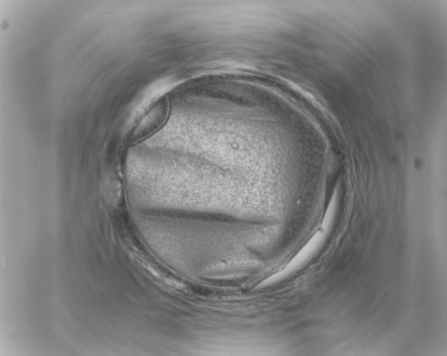 X0000059251363200510281945