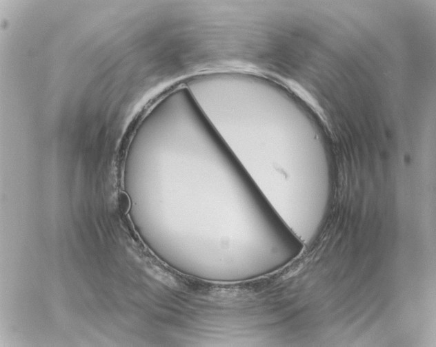 X0000059251364200510281945