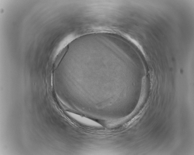 X0000059251365200510281945