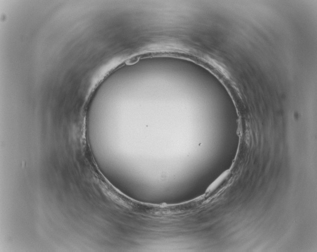 X0000059251366200510281945