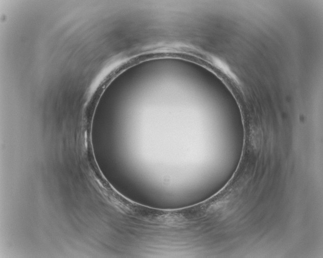 X0000059251368200510281945