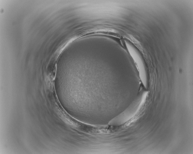 X0000059251369200510281945