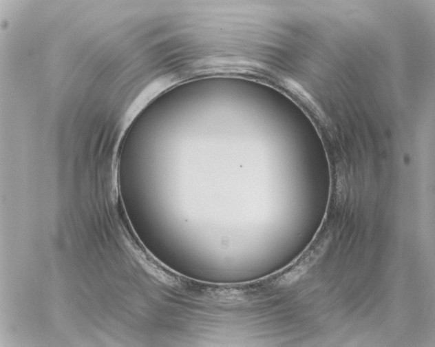 X0000059251370200510281945