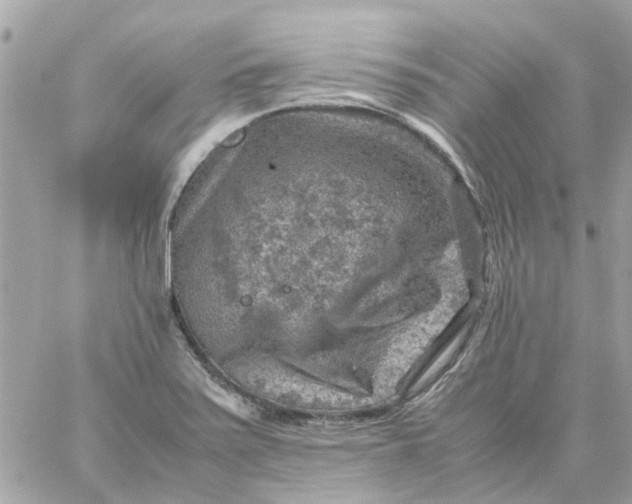 X0000059251371200510281945