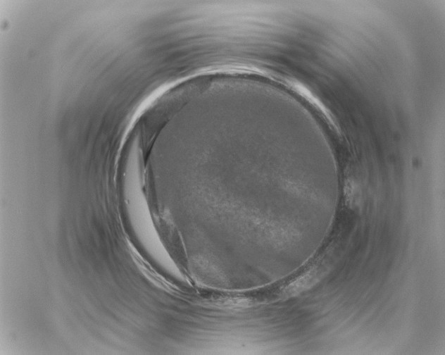 X0000059251372200510281945