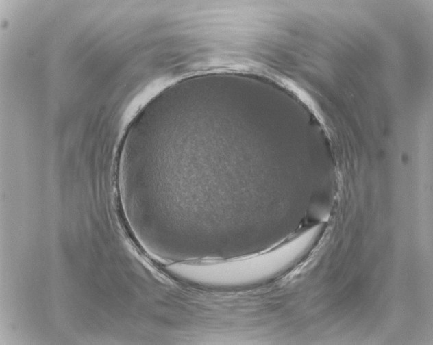 X0000059251373200510281945