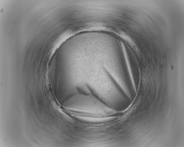 X0000059251374200510281945