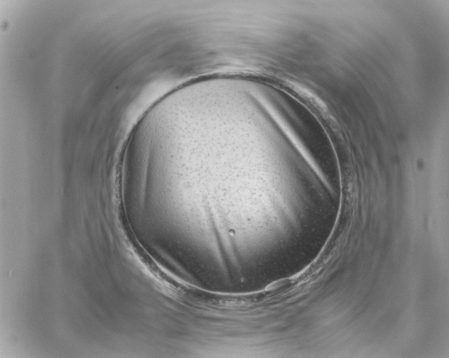 X0000059251375200510281945