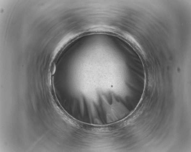 X0000059251376200510281945