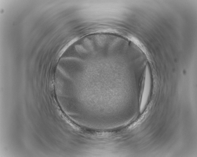 X0000059251377200510281945