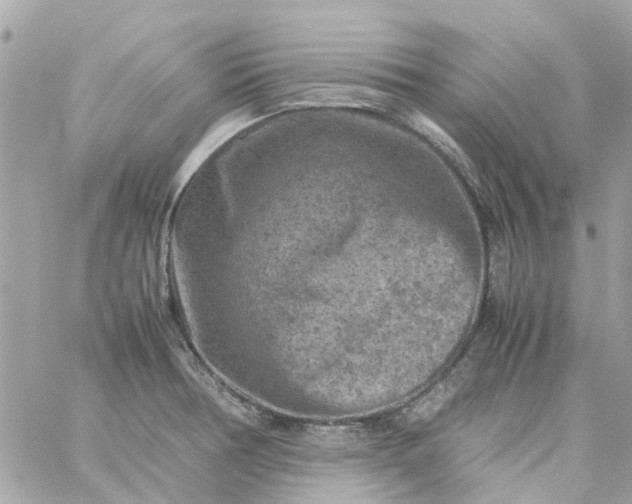 X0000059251378200510281945