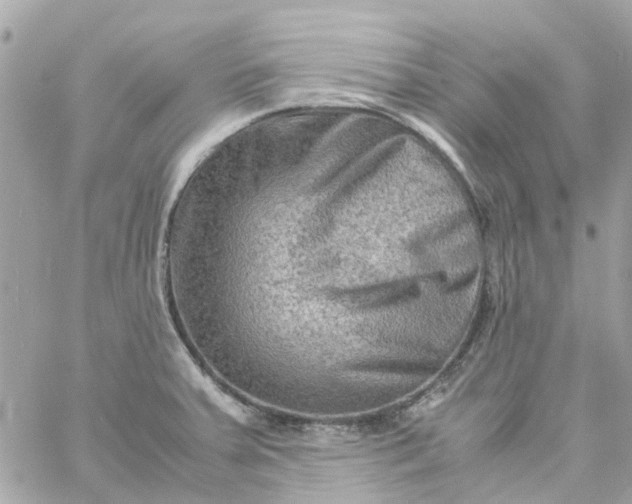 X0000059251379200510281945