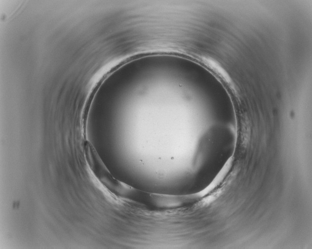 X0000059251380200510281945