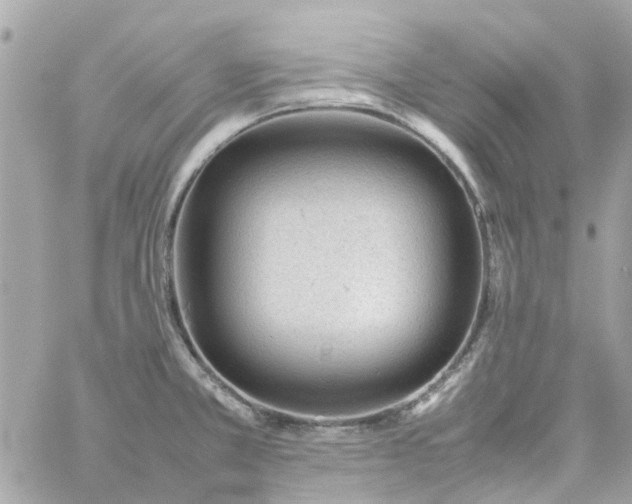 X0000059251381200510281945