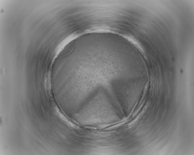 X0000059251382200510281945