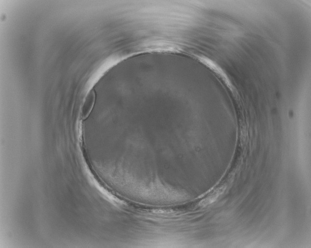 X0000059251383200510281945