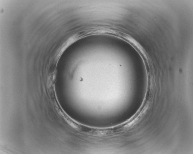 X0000059251385200510281945