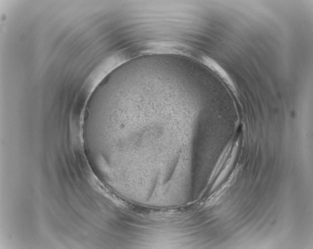 X0000059251386200510281945