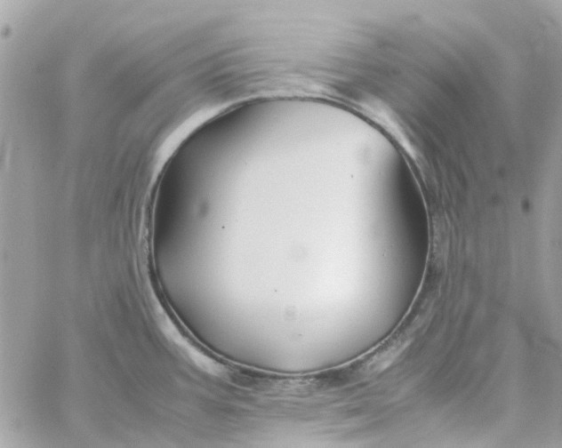 X0000059251387200510281945