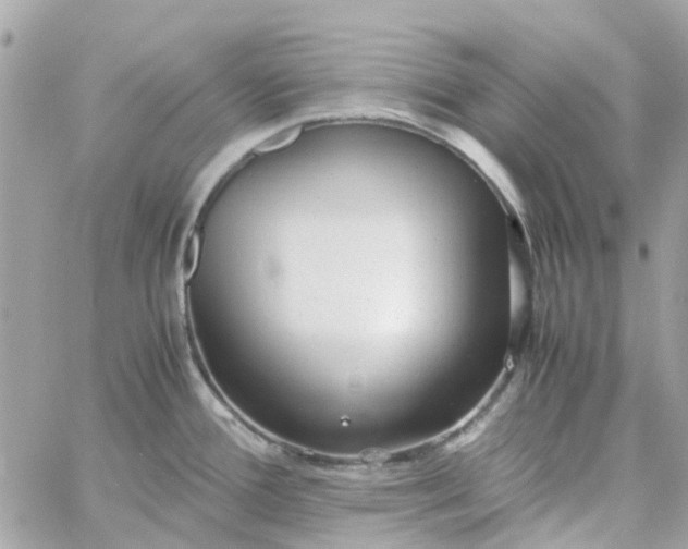 X0000059251388200510281945