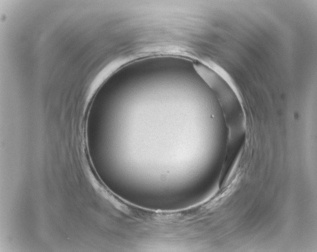 X0000059251389200510281945