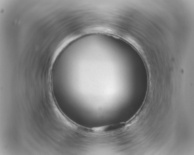 X0000059251392200510281945