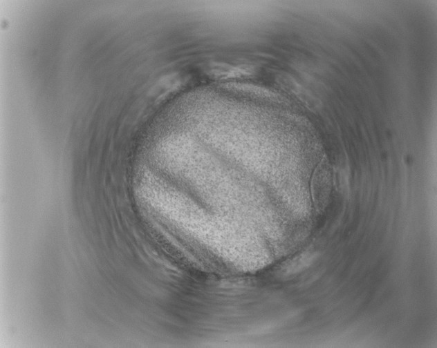 X0000059251393200510281944