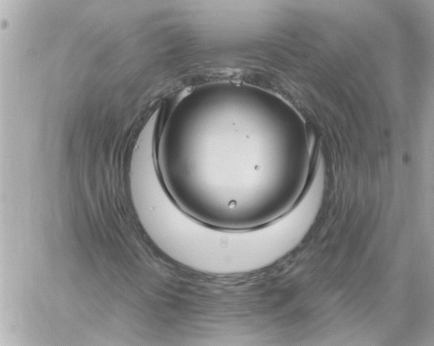 X0000059251394200510281944