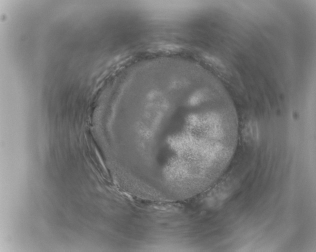 X0000059251397200510281944