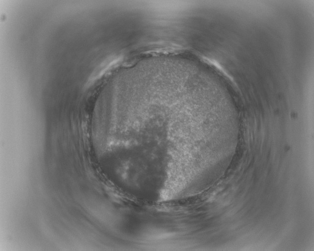 X0000059251399200510281944