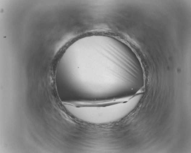 X0000059251400200510281944