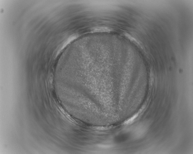 X0000059251401200510281944