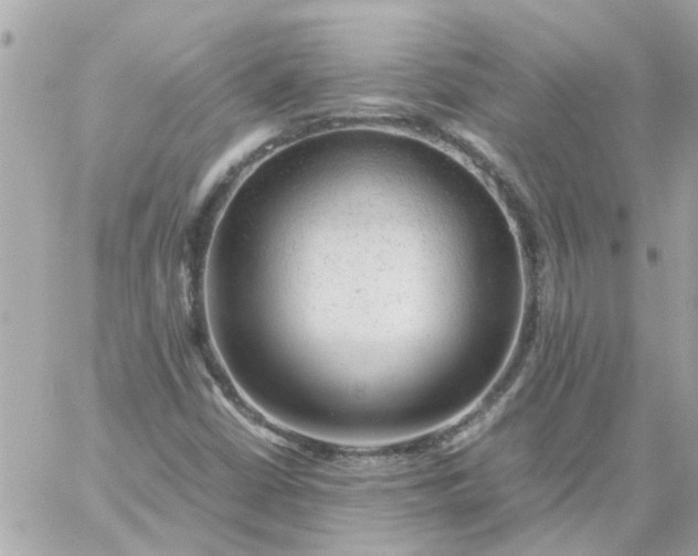 X0000059251402200510281944